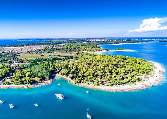 Sang Near The - Happy *